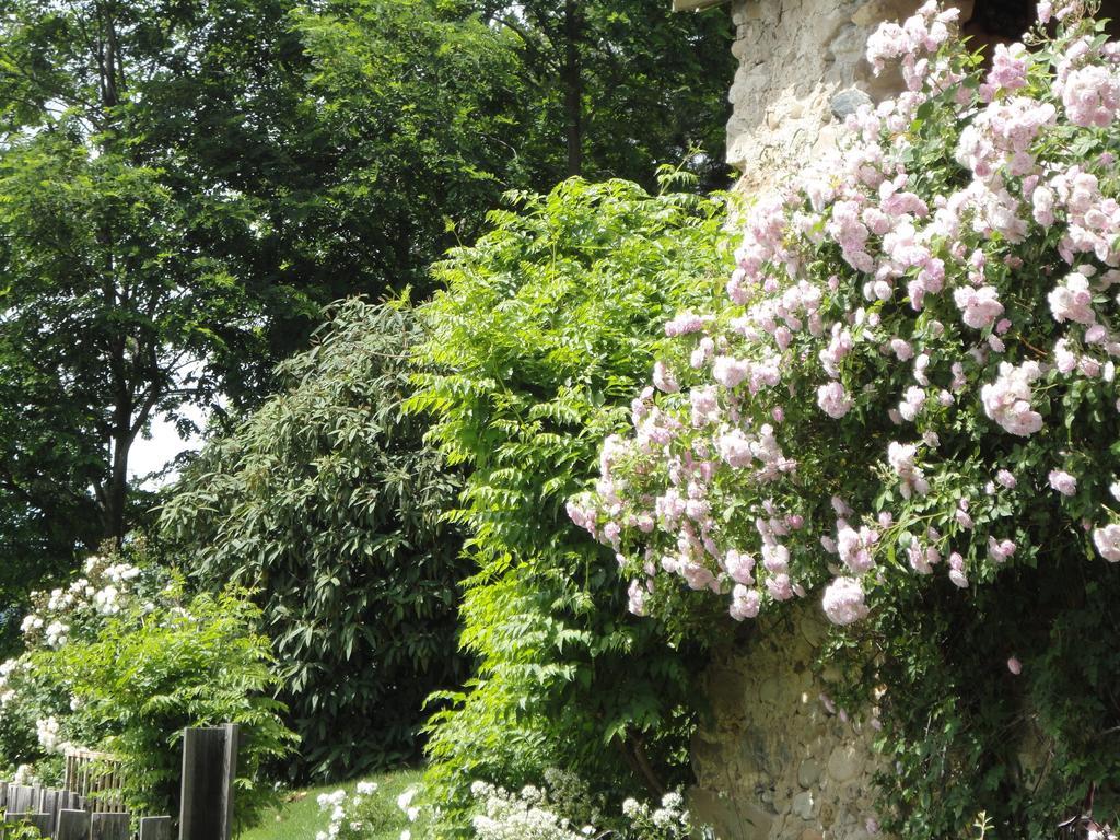 Un Gite De Charme En Haute Provence Villa Sigoyer  Cameră foto