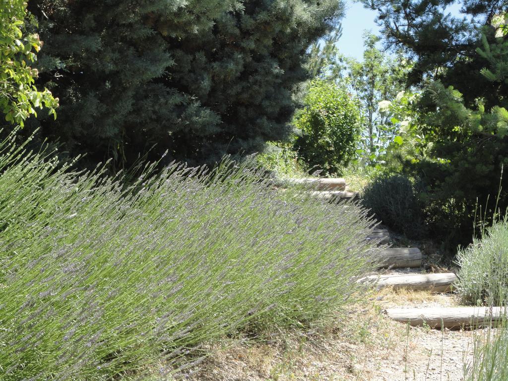 Un Gite De Charme En Haute Provence Villa Sigoyer  Cameră foto