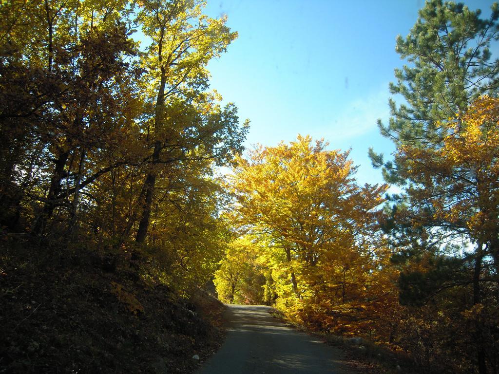Un Gite De Charme En Haute Provence Villa Sigoyer  Cameră foto